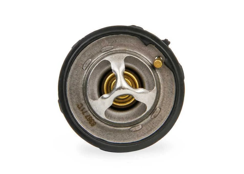Mr Gasket Thermostat - Installation View