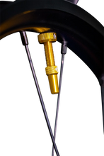 Load image into Gallery viewer, Muc-Off USA Tubeless Valve Stems - Gold 20426 - Side View