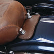 Load image into Gallery viewer, Mustang 97-21 FL Touring Mini Fender Bib - Brown