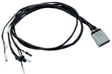 Load image into Gallery viewer, NAMZ Complete Handlebar Control Replacement Harness fits 2025 Indian Challenger