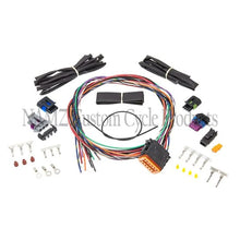 Load image into Gallery viewer, NAMZ Twin Cam Ignition Harness (For 04-06 OEM Style or Screaming Eagle Ignition Module) - Main Product View