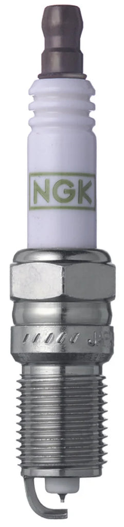 NGK GP Platinum Spark Plug Box of 4 (TR55GP) - Main Product View