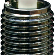 Load image into Gallery viewer, NGK Iridium/Platinum Spark Plug Box of 4 (DILKR8B6) - Side View
