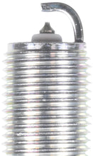 Load image into Gallery viewer, NGK Laser Platinum Spark Plug Box of 4 (LTR6DP13) - Side View