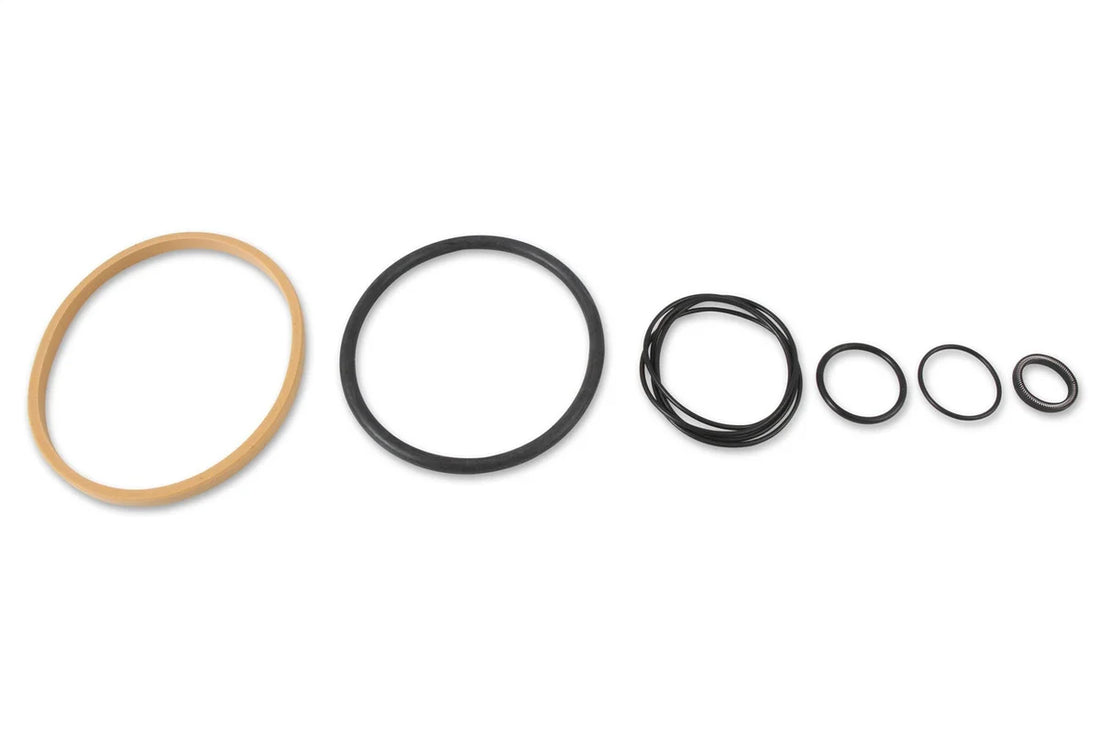 NOS/Nitrous Oxide System Rebuild Kit for 14253NOS pump, Includes Required O-Rings To Rebuild Nitrous Pump 14270NOS - Insta...