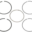 Load image into Gallery viewer, Namura NAMURA PISTON RING SET NA-10095-4R