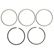 Load image into Gallery viewer, Namura NAMURA PISTON RING SET POLARIS NA-50091R