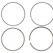 Load image into Gallery viewer, Namura NAMURA RING KIT FX-20090R