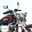 Load image into Gallery viewer, National Cycle 88-15 Harley XL/FXD SpotLight 39 mm Forks