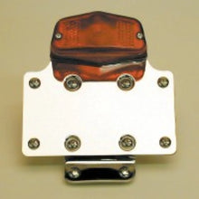 Load image into Gallery viewer, National Cycle Classic Custom Tail Light Fender Mount