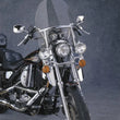 Load image into Gallery viewer, National Cycle Custom Heavy Duty - Main Product View