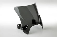 Load image into Gallery viewer, National Cycle Fits up to 48 mm. O.D. Mohawk Black Hardware/Straight Bracket/Windshield - Dark Tint - Back View