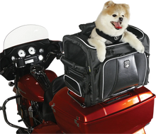 Load image into Gallery viewer, Nelson-Rigg Route 1 Rover Pet Carrier - Black NR-240 - Additional View 6