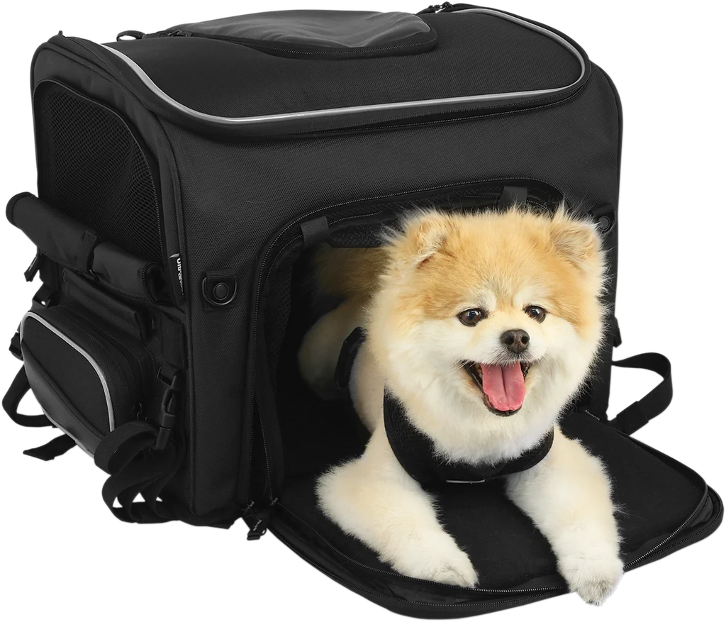 Nelson-Rigg Route 1 Rover Pet Carrier - Black NR-240 - Additional View 7