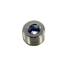 Load image into Gallery viewer, Nitrous Express 1/4 NPT Plug - Main Product View