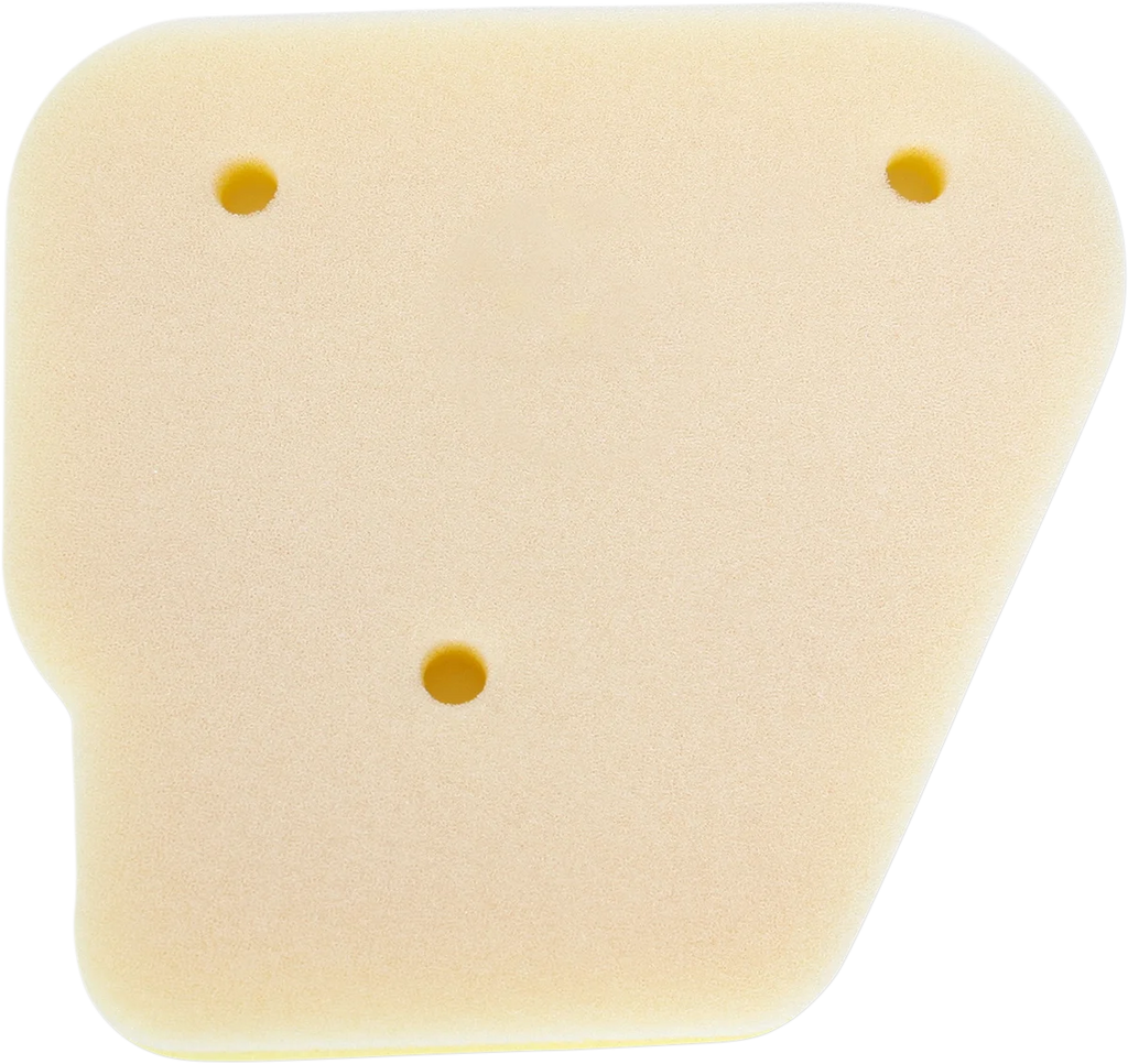 No Toil Foam Air Filter - Polaris 315-05 - Main Product View