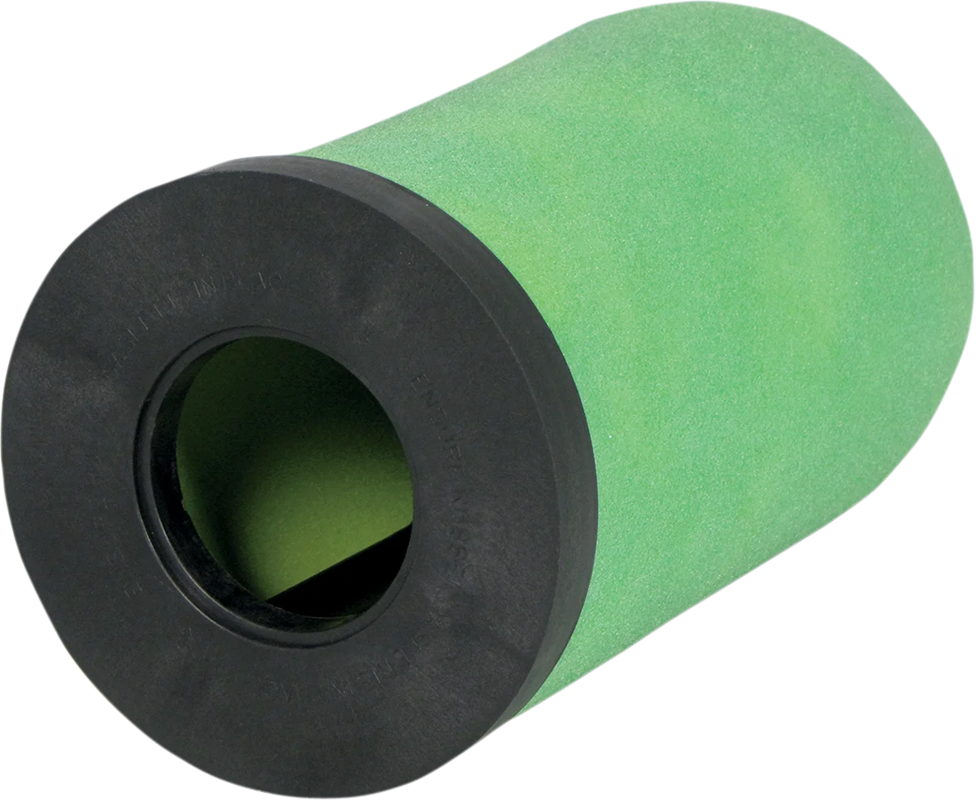 No Toil Pre-oiled Air Filter with Cage - Polaris 3116 - Back View
