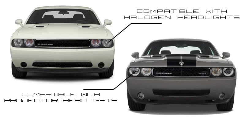 Oracle Dodge Challenger 08-14 Halo Kit - Dynamic - Dynamic - Installation View