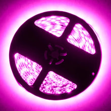 Load image into Gallery viewer, Oracle Exterior Flex LED Spool - Pink - Additional View 5
