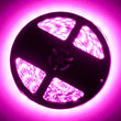 Load image into Gallery viewer, Oracle Interior Flex LED 12in Strip - Pink - Additional View 5