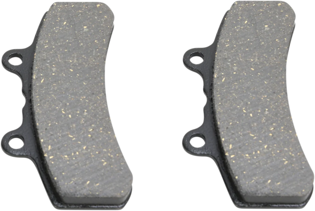 Organic Brake Pads - Buell DragSpecialties FAD210 - Main Product View