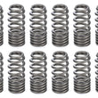 Load image into Gallery viewer, PAC Racing Springs 1.031 RPM Series Valve Springs - Beehive (16) PAC-1281X-16