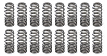 Load image into Gallery viewer, PAC Racing Springs 1.031 RPM Series Valve Springs - Beehive (16) PAC-1281X-16