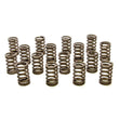 Load image into Gallery viewer, PAC Racing Springs 1.061 Valve Springs - Ovate Beehive (16) PAC-1214X-16