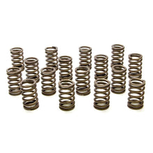 Load image into Gallery viewer, PAC Racing Springs 1.061 Valve Springs - Ovate Beehive (16) PAC-1214X-16