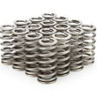 Load image into Gallery viewer, PAC Racing Springs 1.083 Valve Springs - Ovate Beehive (16) PAC-1230X-16