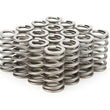 Load image into Gallery viewer, PAC Racing Springs 1.083 Valve Springs - Ovate Beehive (16) PAC-1231X-16