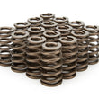 Load image into Gallery viewer, PAC Racing Springs 1.210 Valve Springs - Ovate Beehive (16) PAC-1235-16