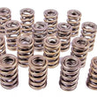 Load image into Gallery viewer, PAC Racing Springs 1.244 Dual Valve Springs (16) PAC-1202-16