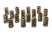Load image into Gallery viewer, PAC Racing Springs 1.244 Single Valve Springs w/Damper (16) PAC-1200-16