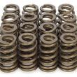 Load image into Gallery viewer, PAC Racing Springs 1.250 Valve Springs - Ovate Beehive (16) PAC-1283-16