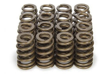 Load image into Gallery viewer, PAC Racing Springs 1.250 Valve Springs - Ovate Beehive (16) PAC-1283-16
