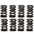Load image into Gallery viewer, PAC Racing Springs 1.260 Dual Valve Springs (16) PAC-1203-16