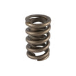 Load image into Gallery viewer, PAC Racing Springs 1.260 Single Valve Spring w/Damper (1) PAC-1201