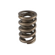 Load image into Gallery viewer, PAC Racing Springs 1.260 Single Valve Spring w/Damper (1) PAC-1201-1