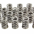 Load image into Gallery viewer, PAC Racing Springs 1.260 Single Valve Springs RPM Series (16) PAC-1201X-16