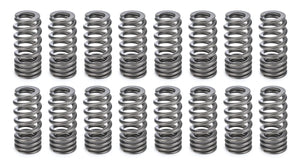 PAC Racing Springs 1.270 Valve Springs - Ovate Beehive (16) PAC-1282LX-16