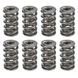 Load image into Gallery viewer, PAC Racing Springs 1.284 Dual Valve Springs (16) PAC-1529-16