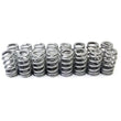 Load image into Gallery viewer, PAC Racing Springs 1.290 RPM Series Valve Springs Beehive (16) PAC-1276X-16