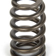 Load image into Gallery viewer, PAC Racing Springs 1.290 Valve Spring - Ovate Beehive (1) PAC-1218-1