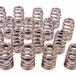Load image into Gallery viewer, PAC Racing Springs 1.290 Valve Springs - Ovate Beehive (16) PAC-1215-16