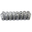 Load image into Gallery viewer, PAC Racing Springs 1.290 Valve Springs - Ovate Beehive (16) PAC-1218X-16