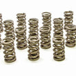 Load image into Gallery viewer, PAC Racing Springs 1.304 Dual Valve Springs - RPM Series (16) PAC-1207X-16