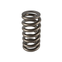 Load image into Gallery viewer, PAC Racing Springs 1.307 Valve Spring - Ovate Beehive (1) PAC-1219-1