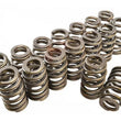 Load image into Gallery viewer, PAC Racing Springs 1.307 Valve Springs - Ovate Beehive (16) PAC-1219-16