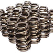 Load image into Gallery viewer, PAC Racing Springs 1.307 Valve Springs - Ovate Beehive (16) PAC-1219X-16